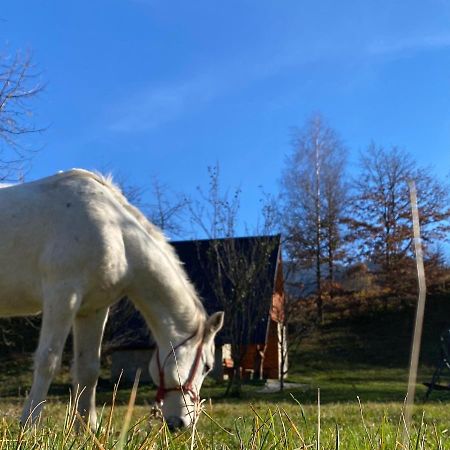 Eco Kutak Villa Mojkovac Exteriör bild