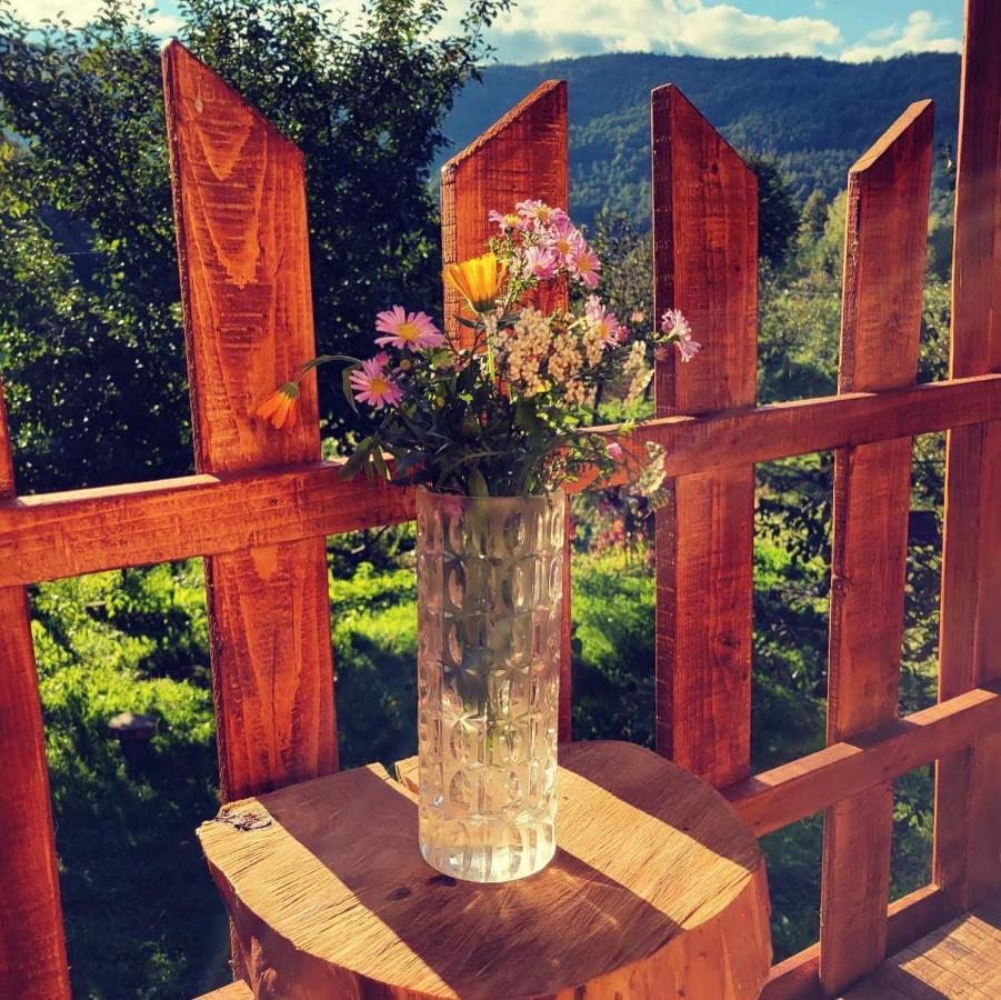 Eco Kutak Villa Mojkovac Exteriör bild