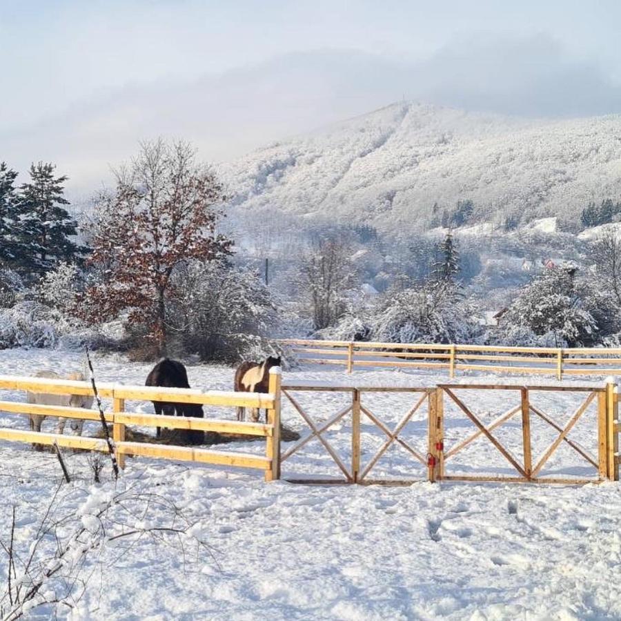 Eco Kutak Villa Mojkovac Exteriör bild
